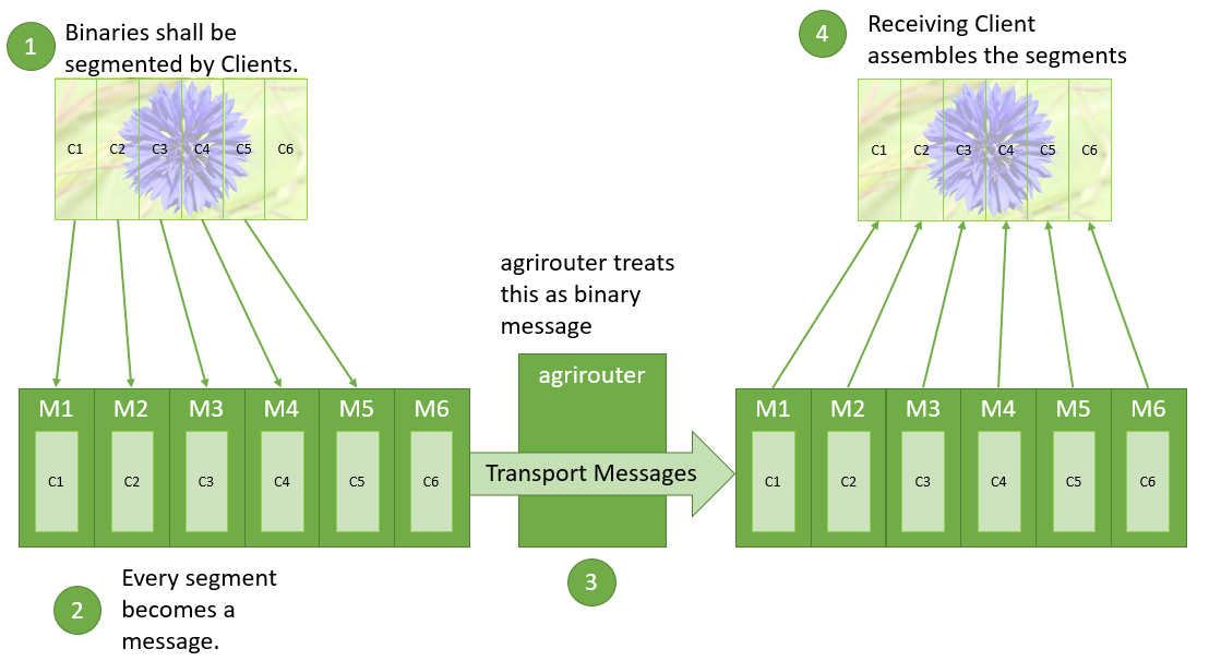 Transfer for Binary Content